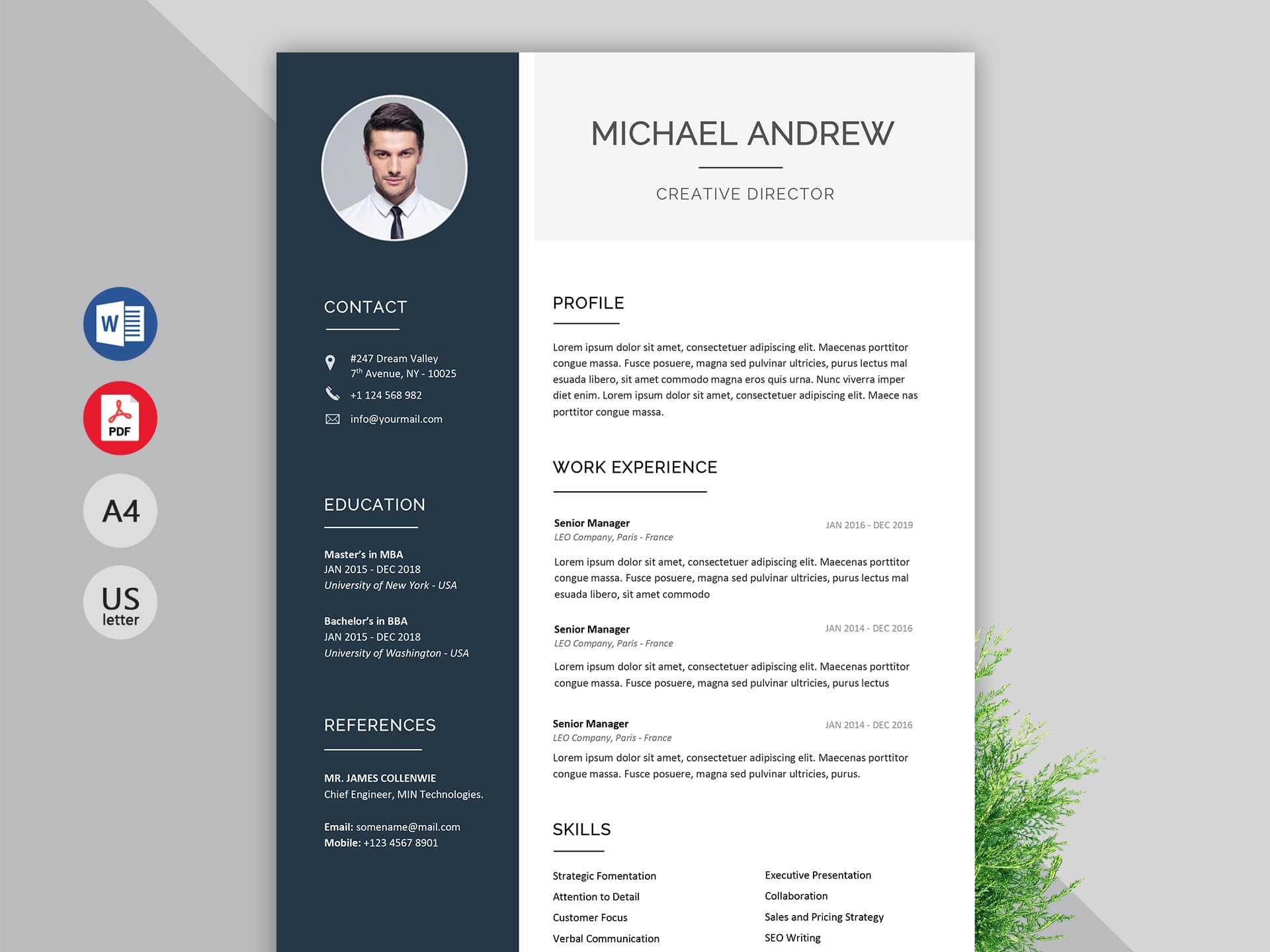 Cv Template For Ms Word - Ponasa