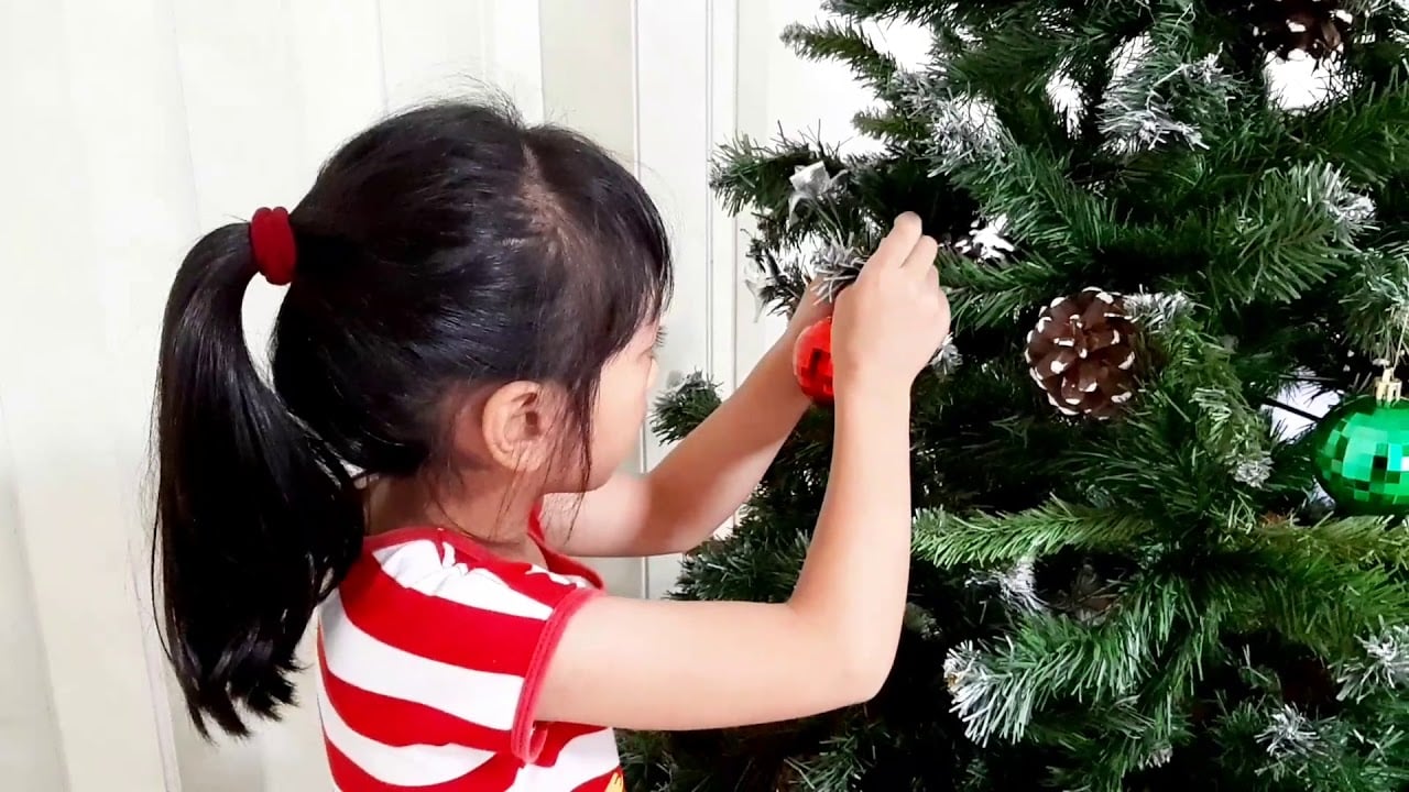 Putting up a Christmas tree the right way The best tips Practical Tips