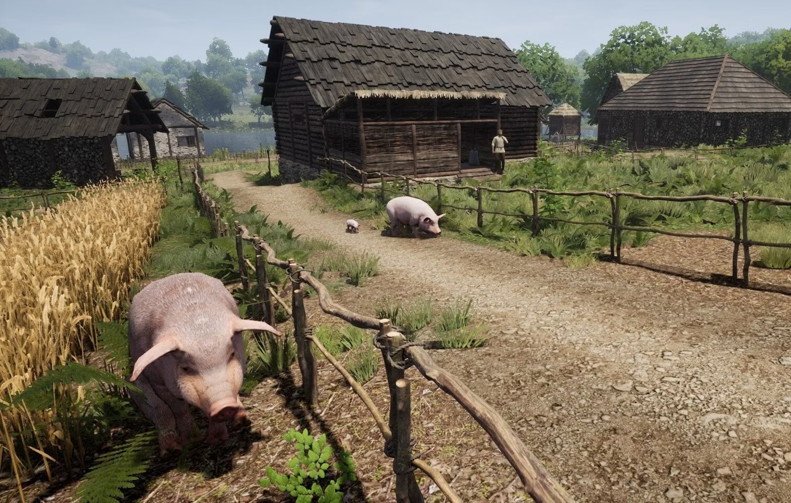 Medieval Dynasty: Buying and selling pigs - how it works - Practical Tips