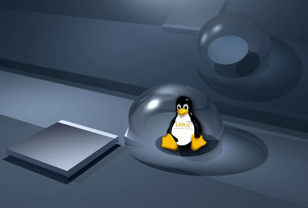 Copier Un Fichier Sous Linux : Voici Les Différentes Possibilités 