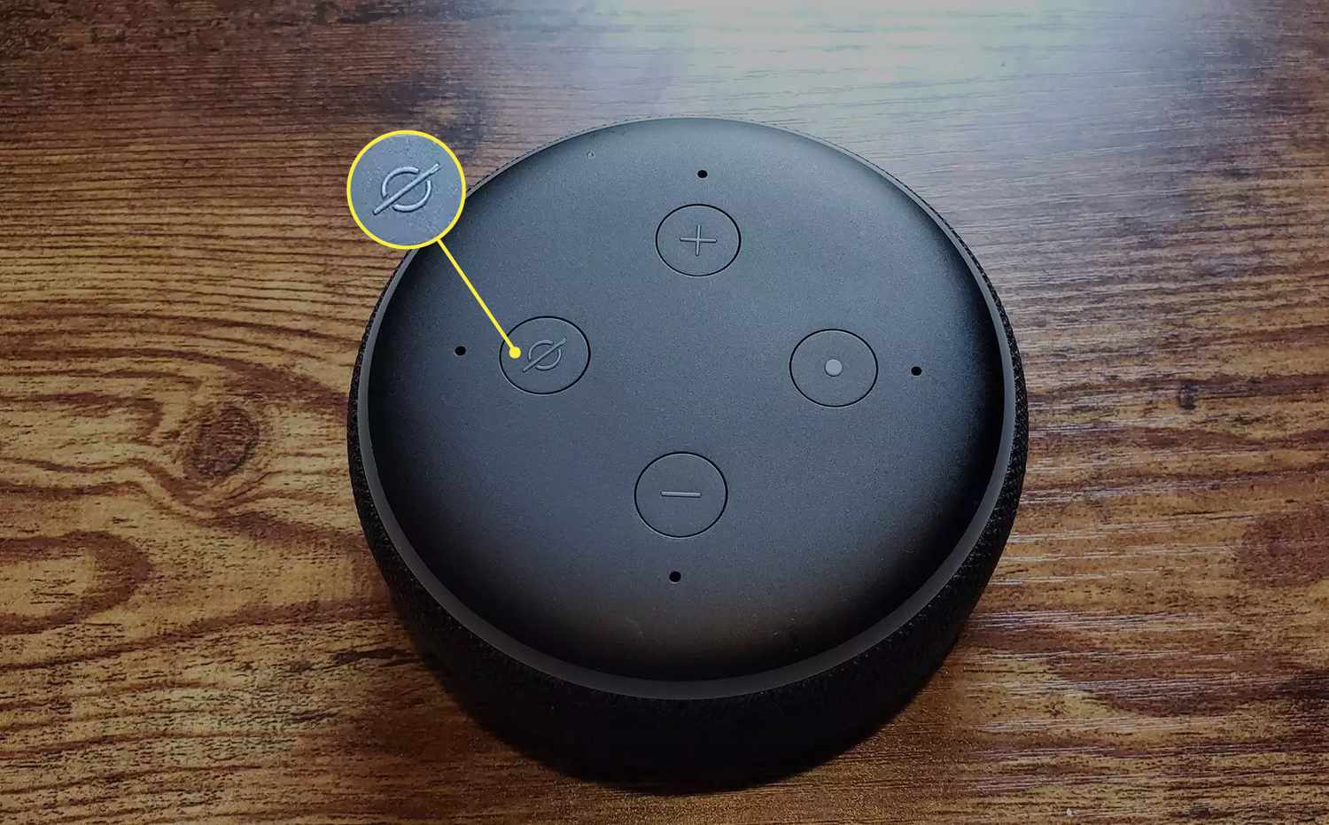 Reset The Echo Dot: Step-by-step Instructions - Practical Tips